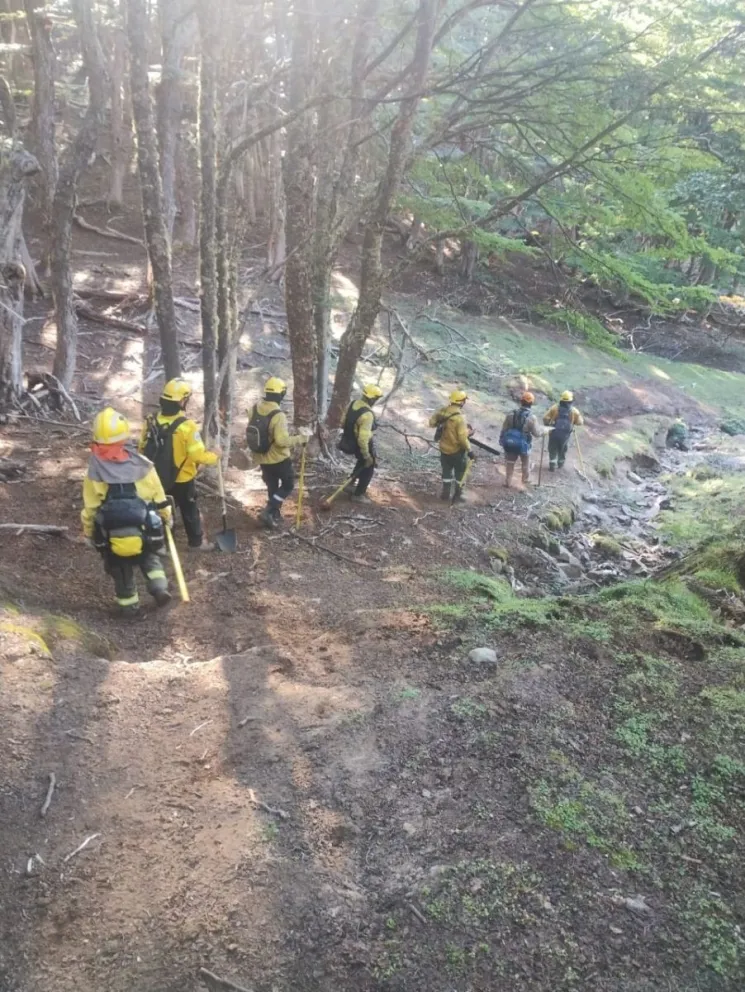 Bomberos sanjuaninos siguen trabajando para sofocar los incendios en Río Negro