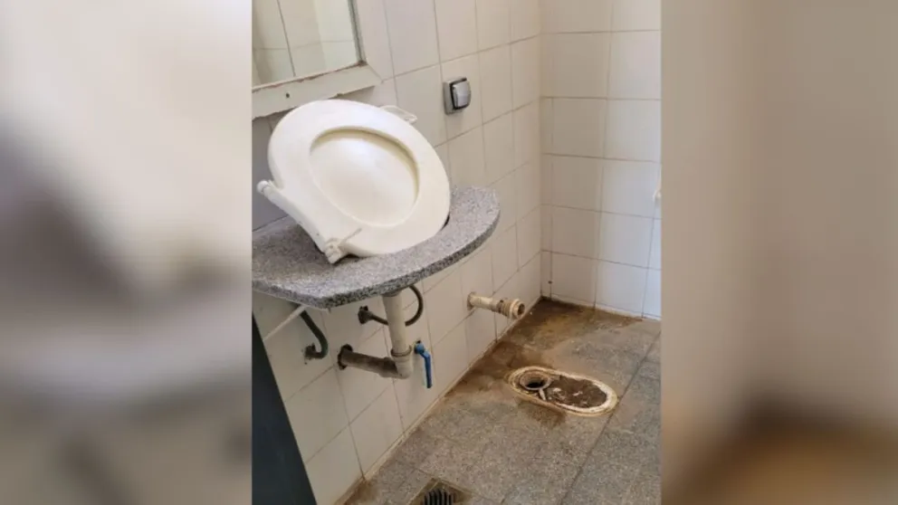 Gentileza: Diario D3