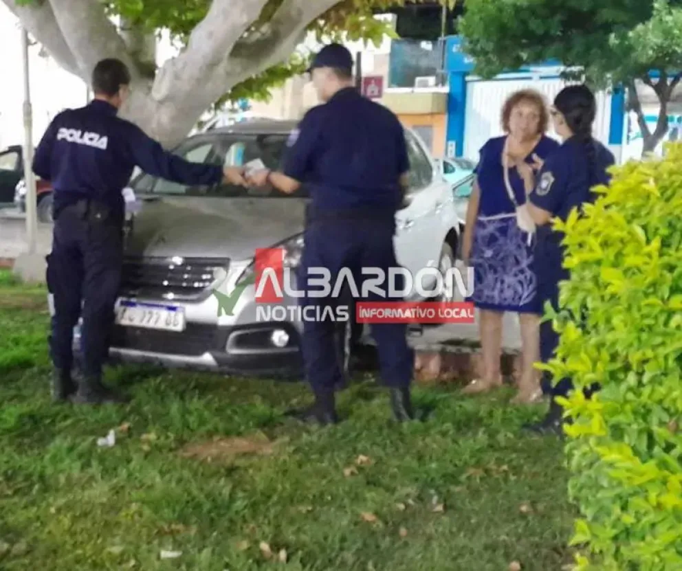 Una mujer perdió el control de su camioneta y terminó dentro de la plaza de Albardón (Foto gentileza - Albardón Noticias)