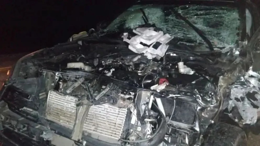 Grave choque en Sarmiento: una camioneta embistió a un caballo suelto 