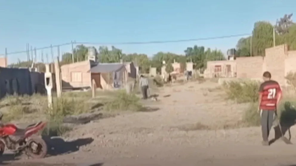 Vecinos hartos de los robos lincharon a un ladrón en Albardón (foto captura del video)