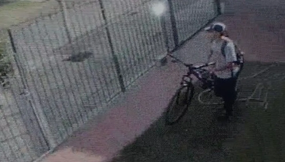A plena luz del día, delincuente entró a una casa del barrio Bardiani y se llevó una bicicleta (Foto captura del video)