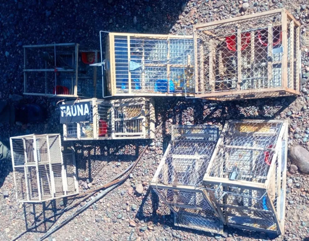 Secuestran aves silvestres y trampas en un operativo contra la caza ilegal en el Villicum