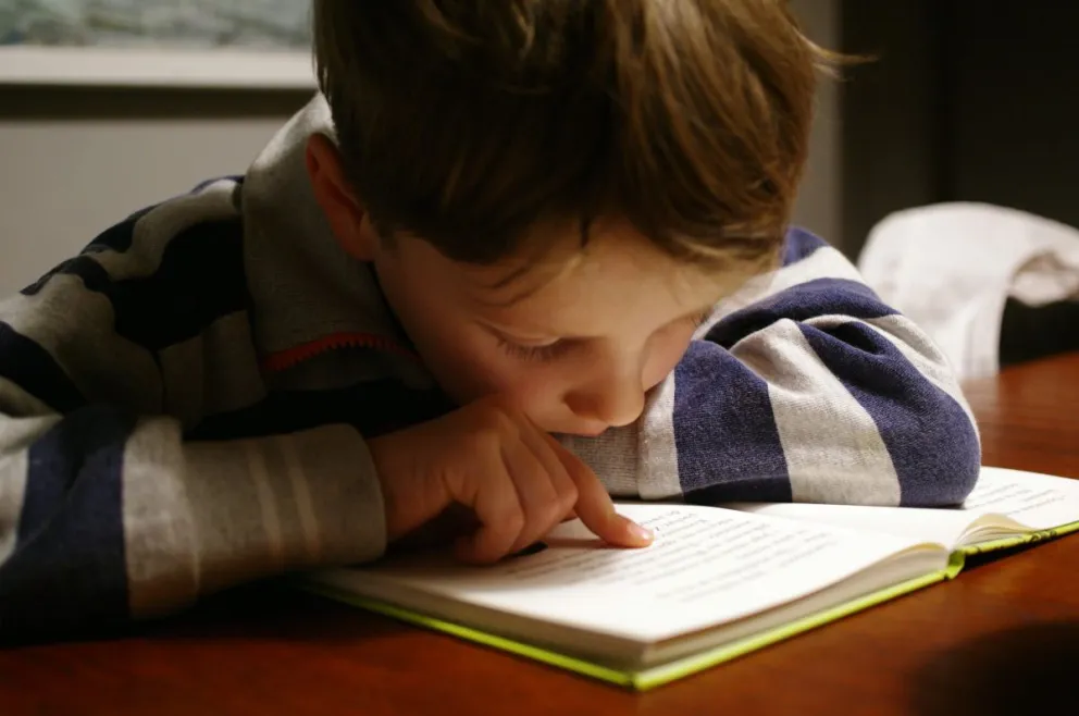 Según un informe, San Juan está entre las cinco provincias donde los chicos tienen menos de 20 libros en sus casa