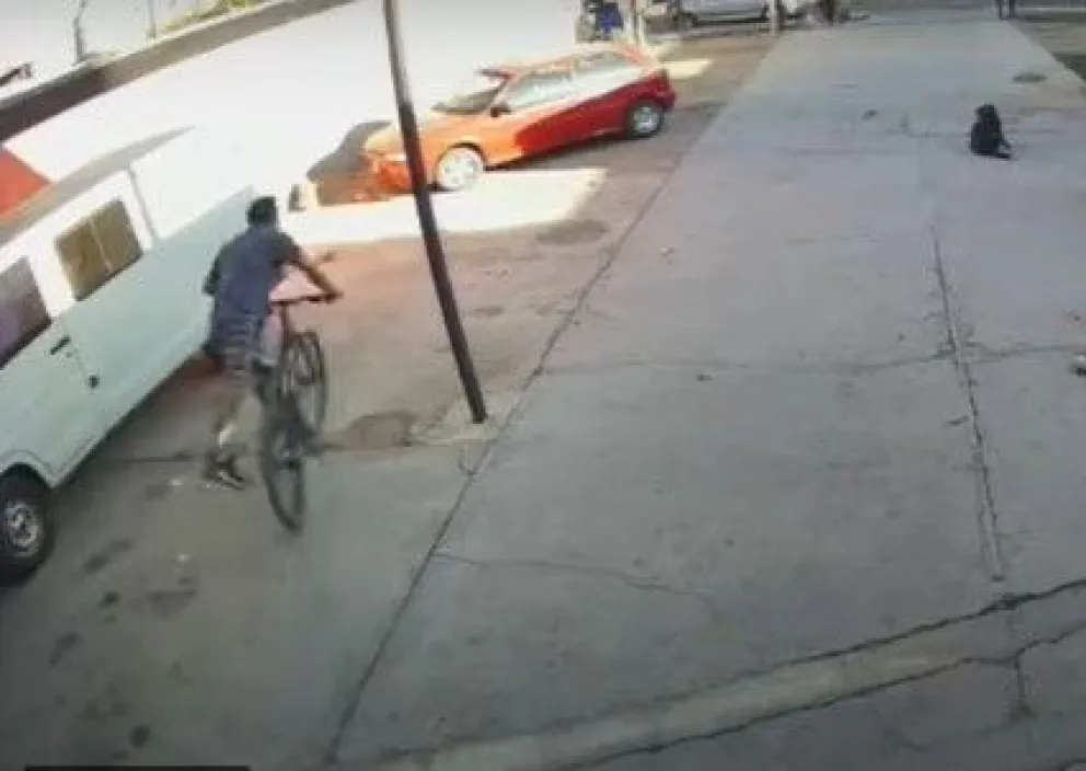 Robaron una bicicleta en segundos y todo quedó grabado