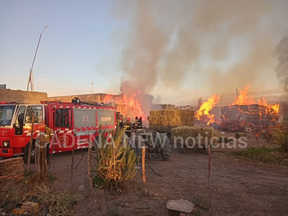 Gentileza: Cadena New