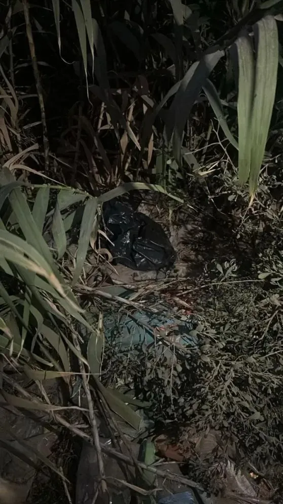 A cuatro días del hallazgo del feto, la Justicia no logra identificar a la madre de la bebé recién nacida. 