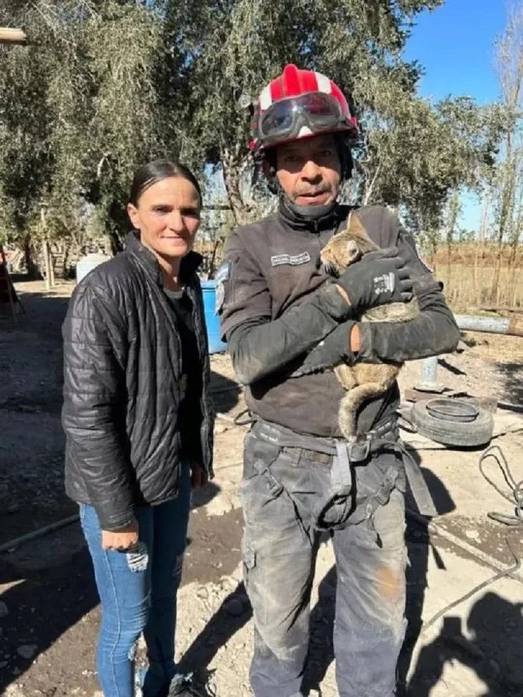 Emotivo rescate en Rawson: salvaron a un gatito que cayó a un pozo de 13 metros.