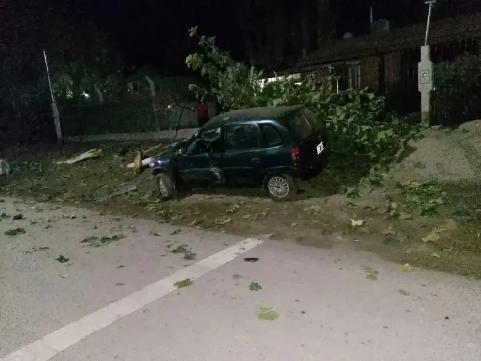 Foto gentileza Del Sur Diario. 