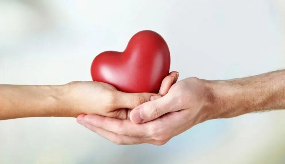 Día Nacional de la Donación de Órganos: por qué se celebra hoy y qué es la Ley Justina. 