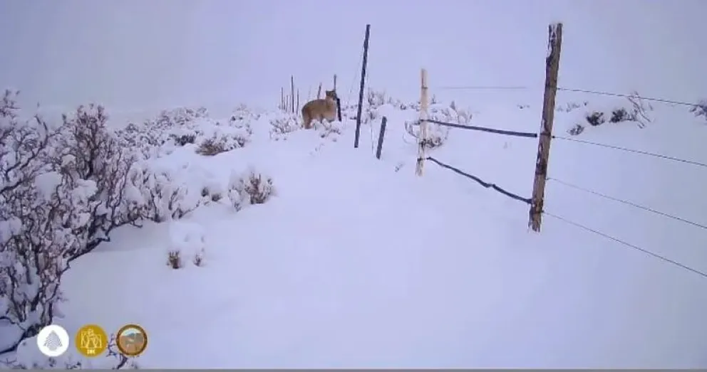 Foto captura del video