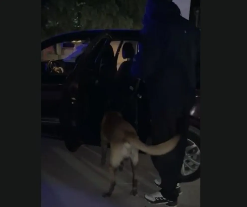 Imágenes del operativo policial. 