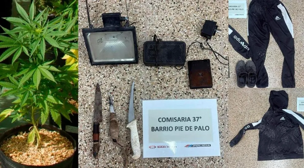 Gentileza: El bastón.