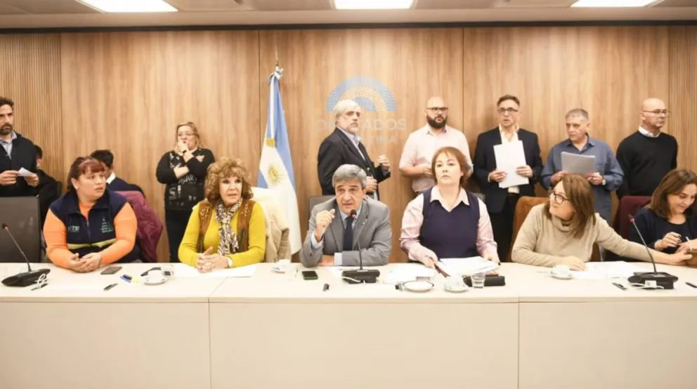 Diputados: el oficialismo y la oposición acordaron pedir informes sobre las muertes por fentanilo contaminado. 