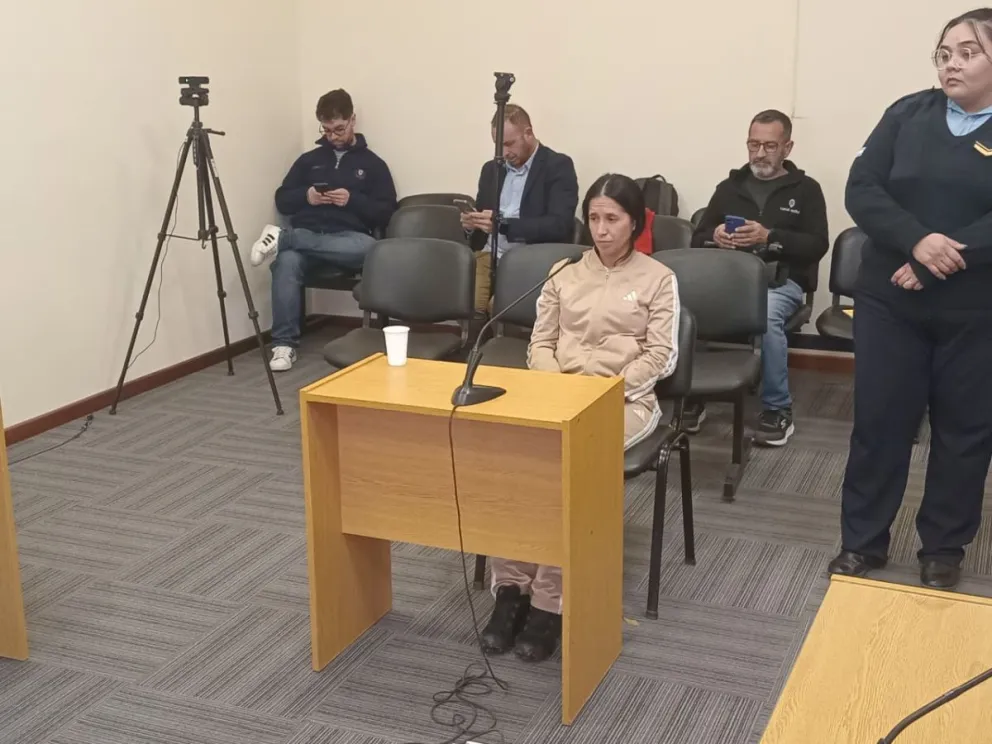 María Galleguillo, la empleada municipal de 55 años, que agredió el pasado viernes a la directora de una escuela. Foto 0264Noticias.