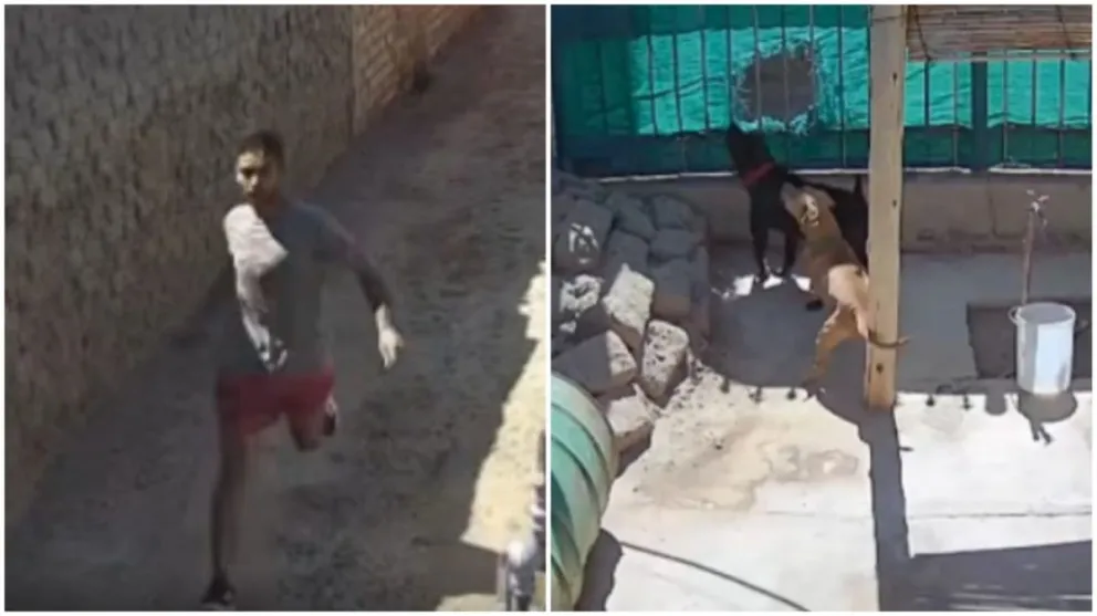 Captura de pantalla.