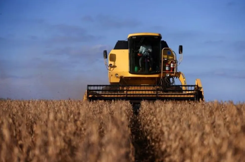 La agricultura creció 0,7% en la comparación interanual de julio.