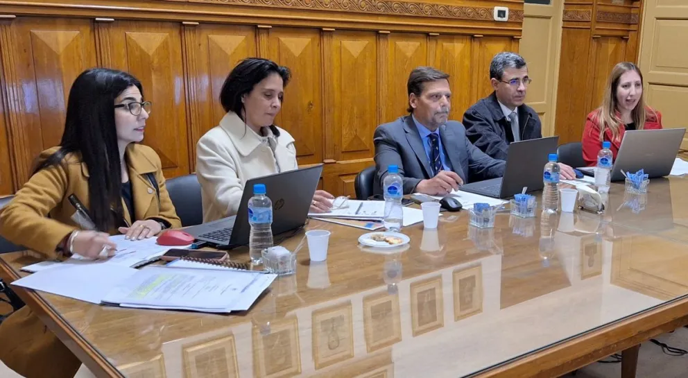 Integrantes. La diputada Paredes, la abogada Torres, el cortista Victoria, el abogado Acosta y la ministra Palma, los miembros del Consejo.