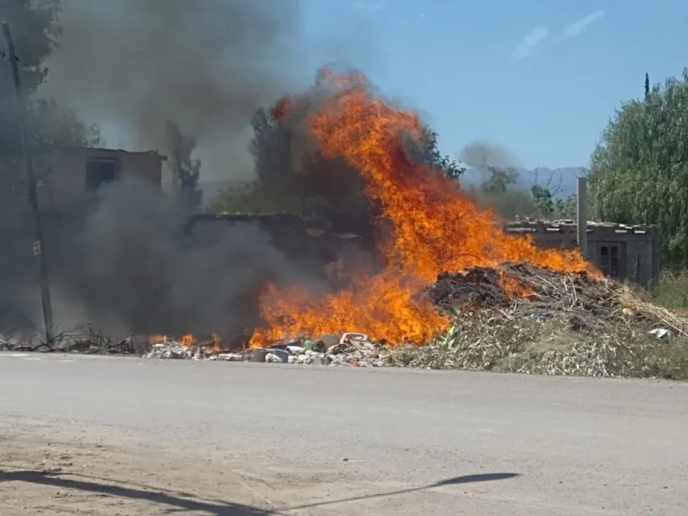 Gentileza: Ariel Rodríguez