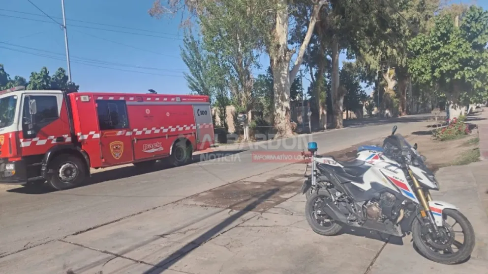 Foto gentileza Albardón Noticias.