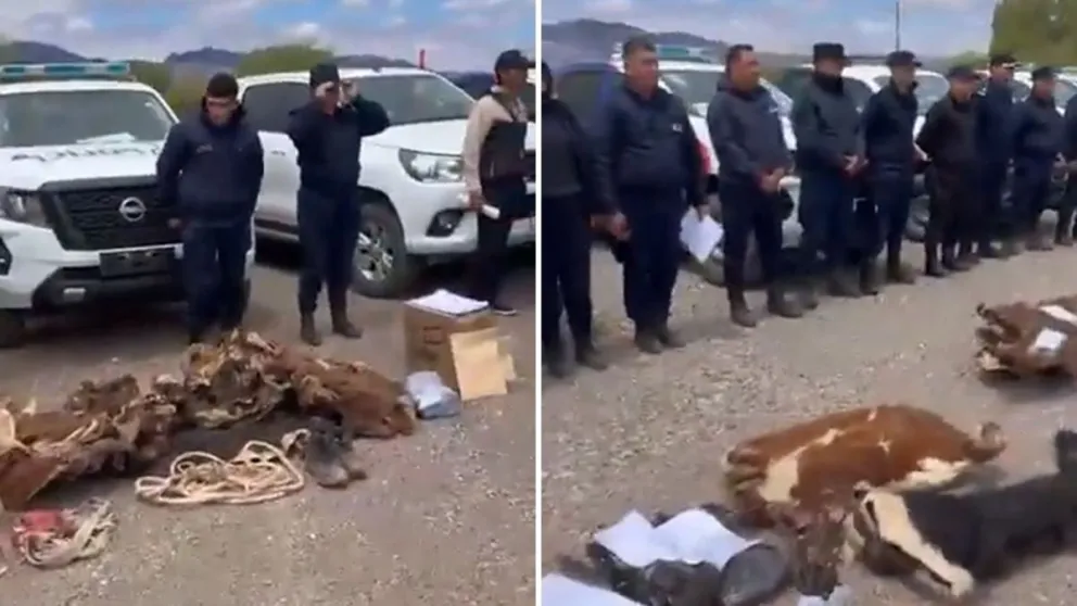 Un operativo policial desarrollado en la localidad riojana de Guandacol permitió desbaratar a una banda de cuatreros acusada de robar 150 vacas en el departamento de Jáchal. 