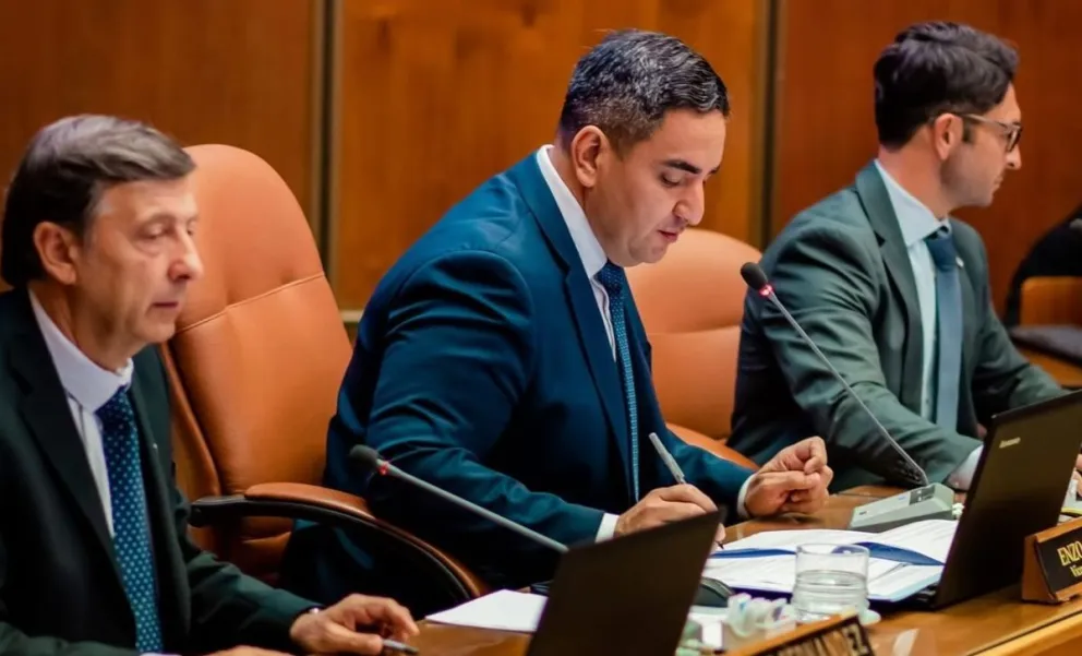 Enzo Cornejo es el presidente del PRO local y también ocupa el cargo de vicepresidente primero de la Cámara de Diputados.