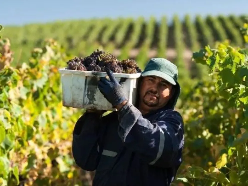 El Gobierno eliminó 973 normas para reducir la regulación en la industria vitivinícola. 