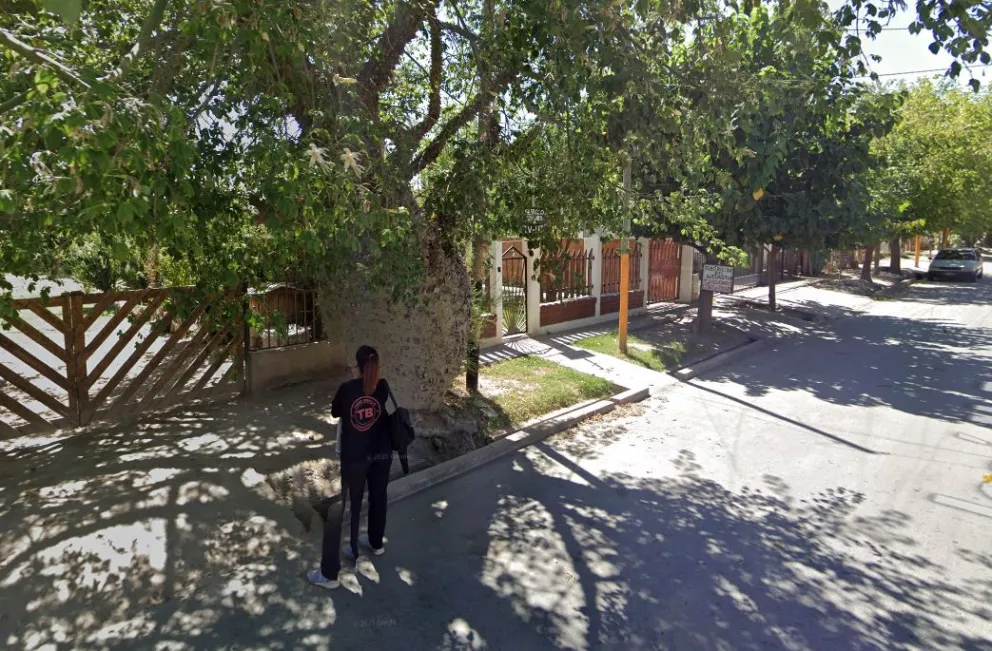 El árbol protegido en Villa Yornet, Caucete.