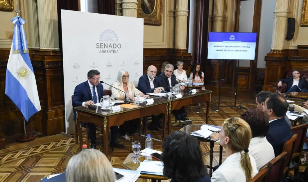 Marcelo Orrego exponiendo en el Senado.