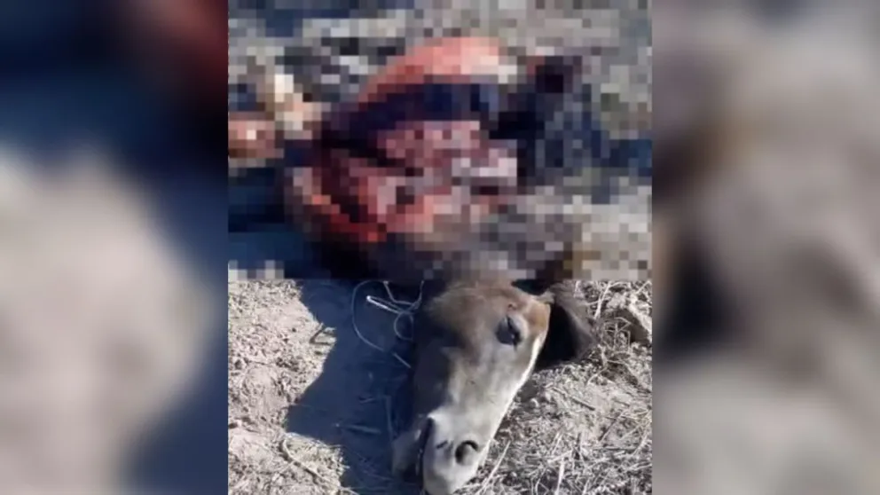 Captura de pantalla.