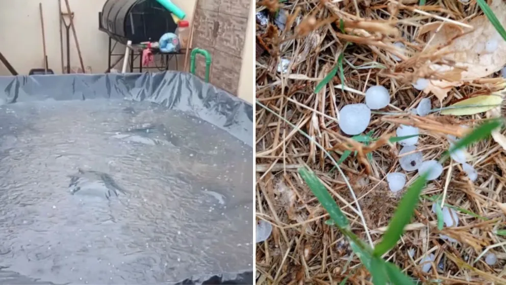 Captura de pantalla.