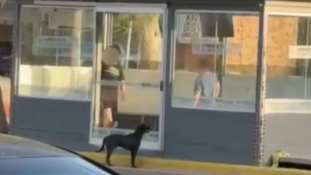 Foto captura del video.