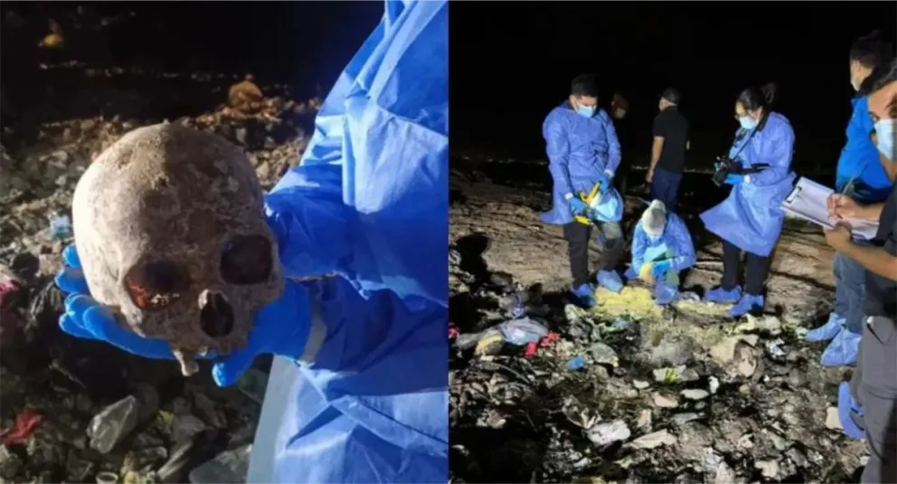 Encuentro y trabajo. Personal de Criminalística trabajando en el predio de Albardón donde apareció el cráneo y los restos óseos.