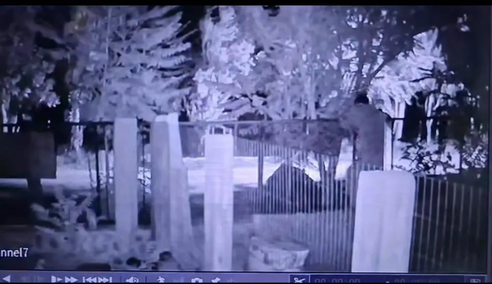 El malviviente trepando la reja de ingreso al comercio donde trabajó y ahora robó 800 mil pesos en efectivo (Captura de pantalla)