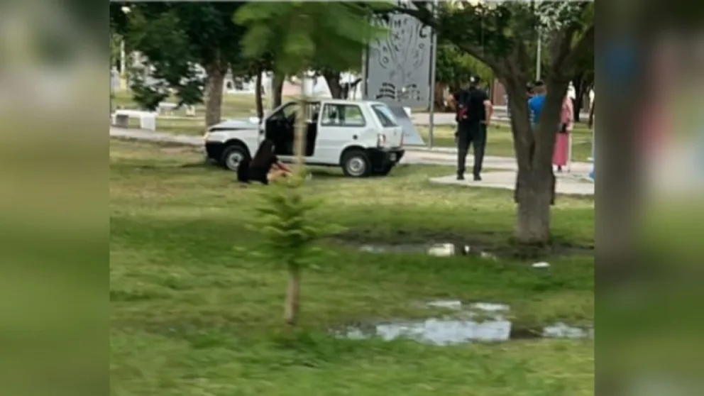 Foto gentileza - Los cazadores de noticias.