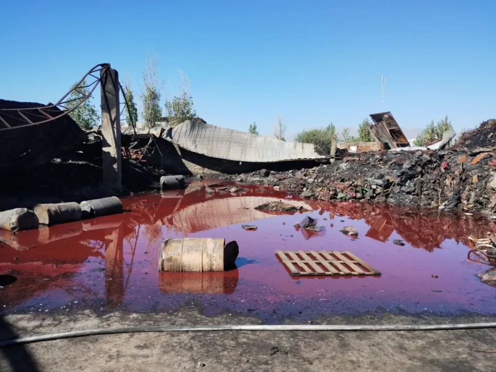 Así se encuentra el predio de la empresa ECO San Juan, en el Parque Industrial de Chimbas.