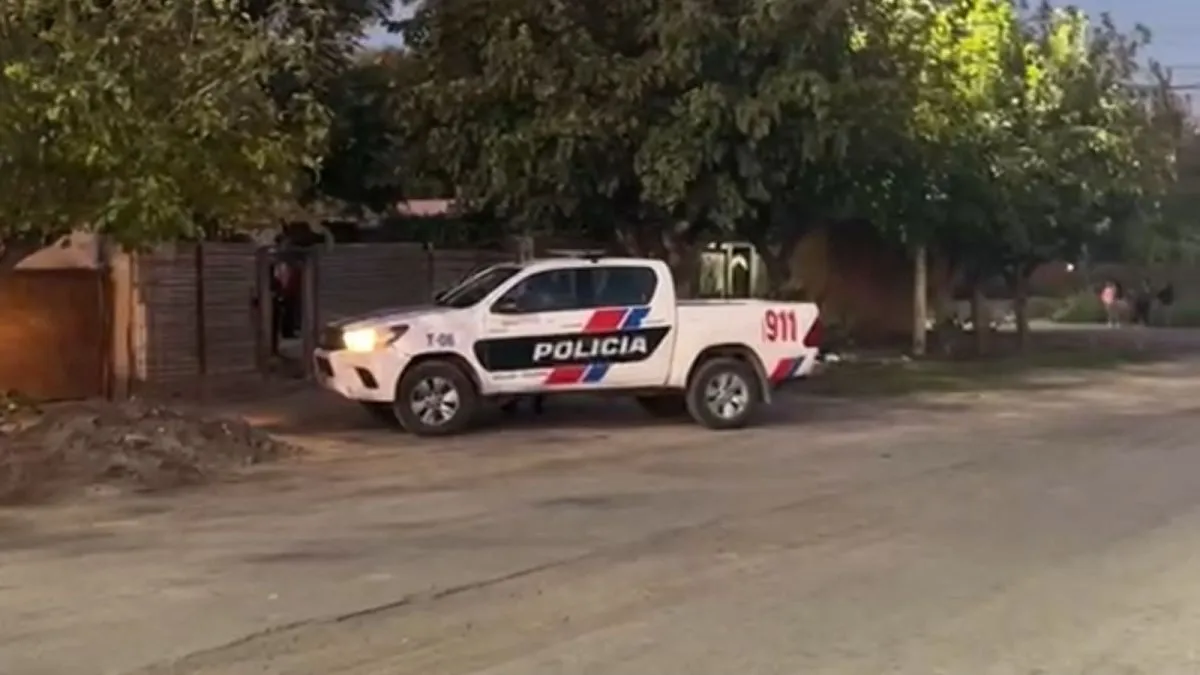 Un hombre de 73 años falleció en Caucete al caer del árbol que estaba ...