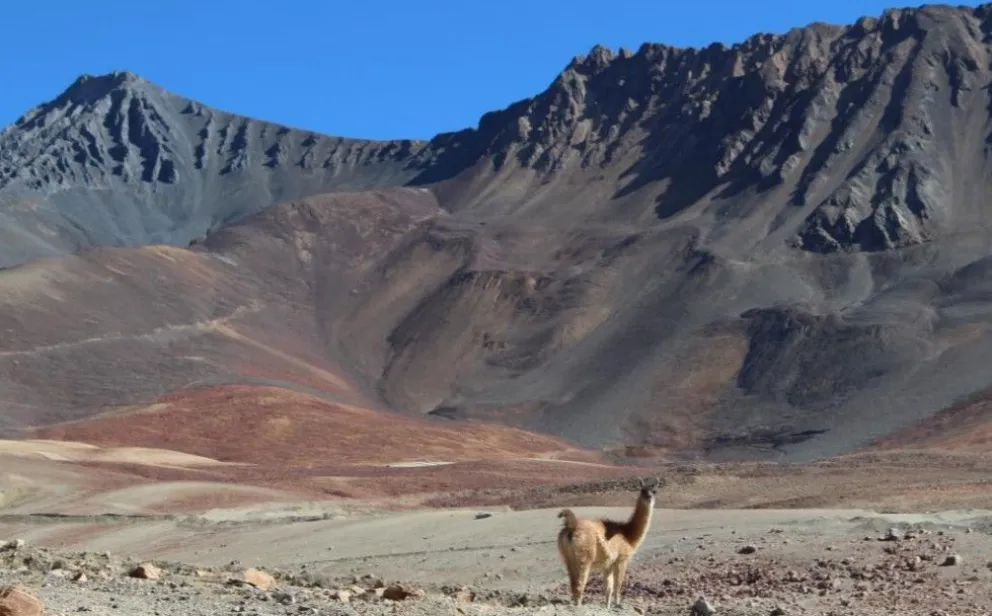 Definición. El relevamiento del IANIGLA incluyó fotos de glaciares de escombros en el vallo del río El Pachón, como la que muestra la imagen.