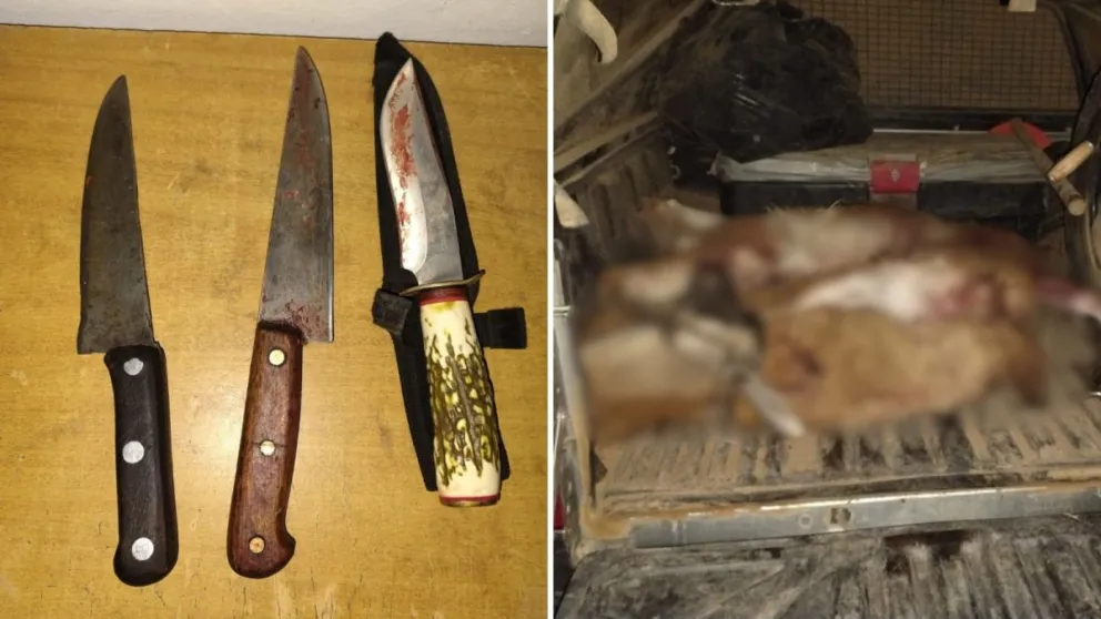 Los cuchillos y guanacos que tenían en su poder los cazadores que hoy resultaron condenados.