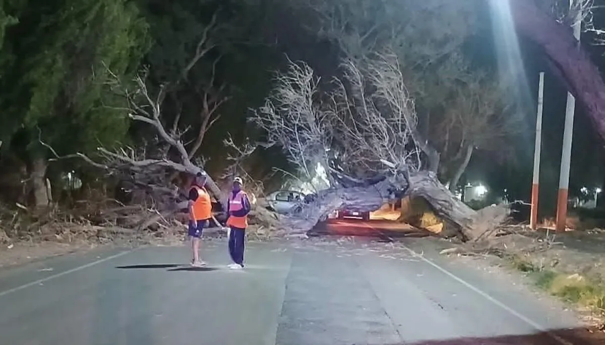 En imágenes: el impresionante paso del viento Zonda por la provincia ...