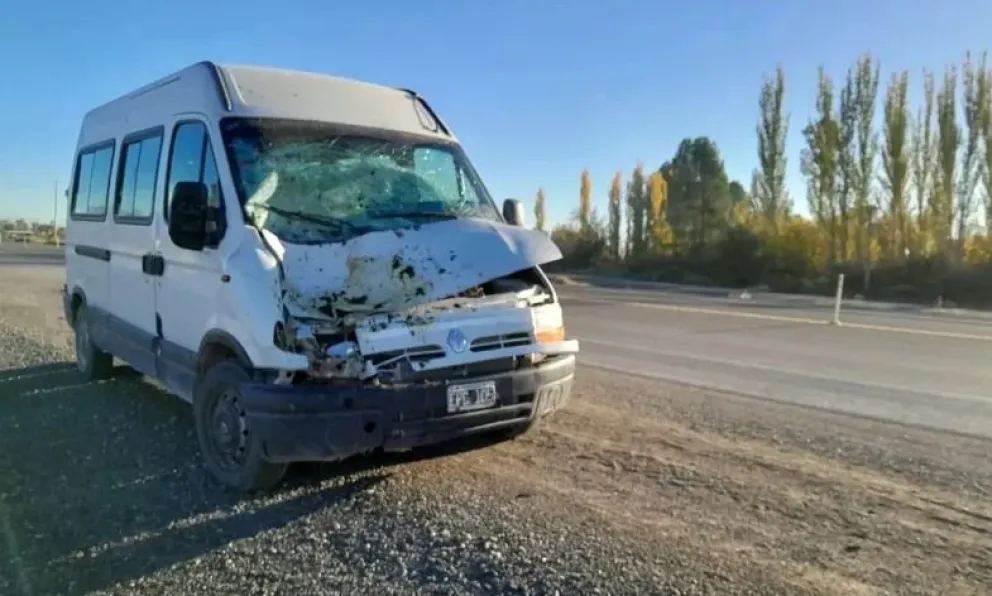 Trafic involucrada en el siniestro