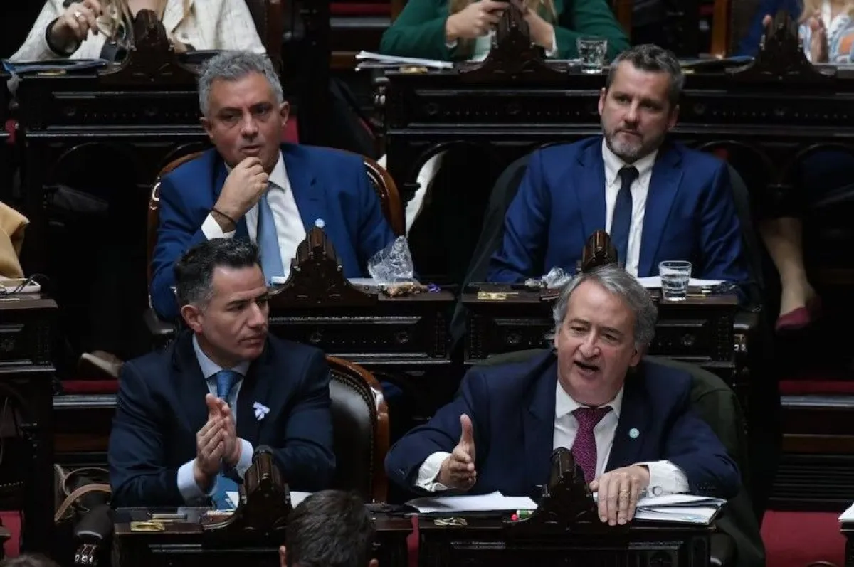 El Gobierno nacional logró la media sanción para la Ley Hojarasca en ...