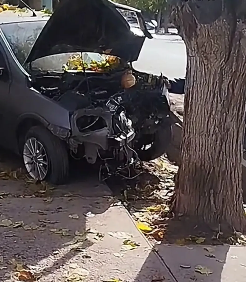 Un joven se quedó dormido al volante y chocó contra un árbol en Caucete ...