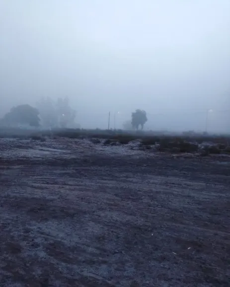Bajo un manto gris, así amaneció la ciudad por la niebla