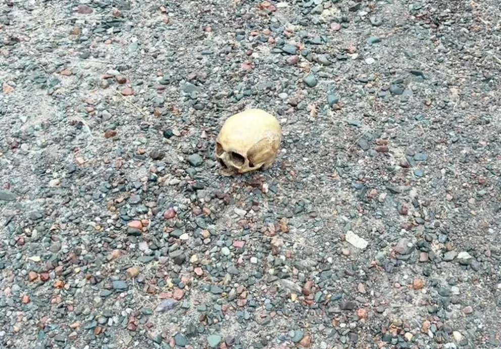 El cráneo encontrado en Punta Negra, este domingo sobre el mediodía.
