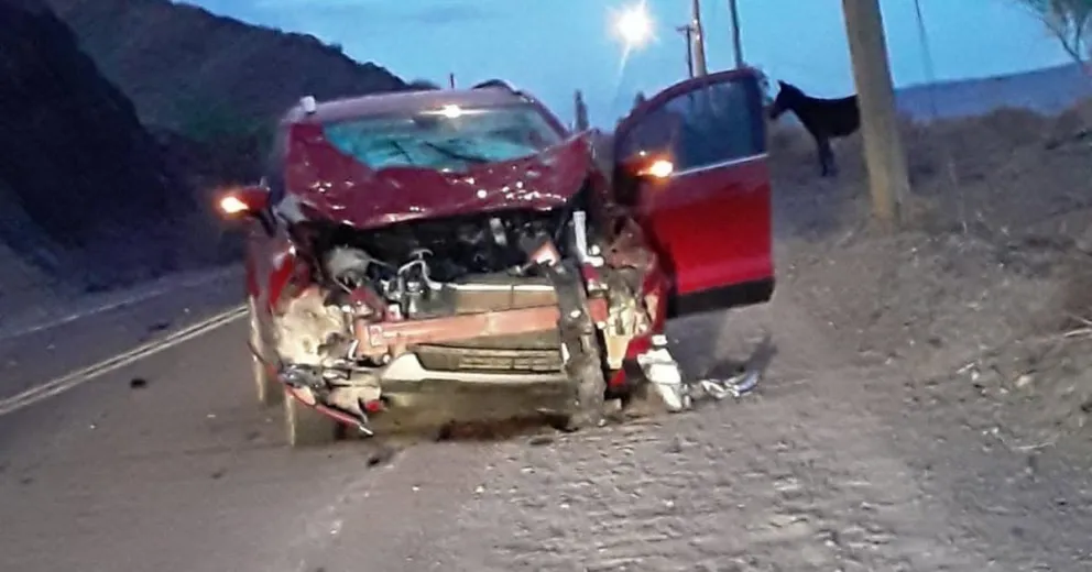 Reciente. En Calingasta, una camioneta se accidentó por esquivar a caballos que se encontraban sueltos sobre la Ruta 149.