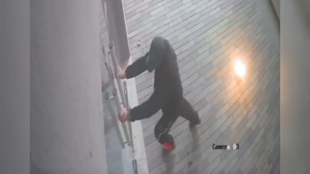Foto captura del video, donde se ve al delincuente forzar la puerta del local.