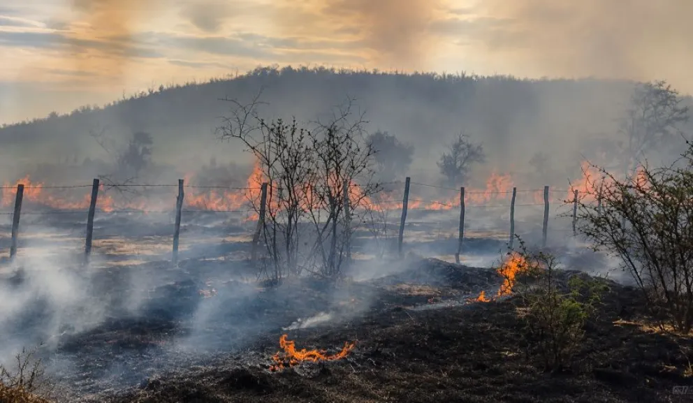 Foto: Actualidad jachallera