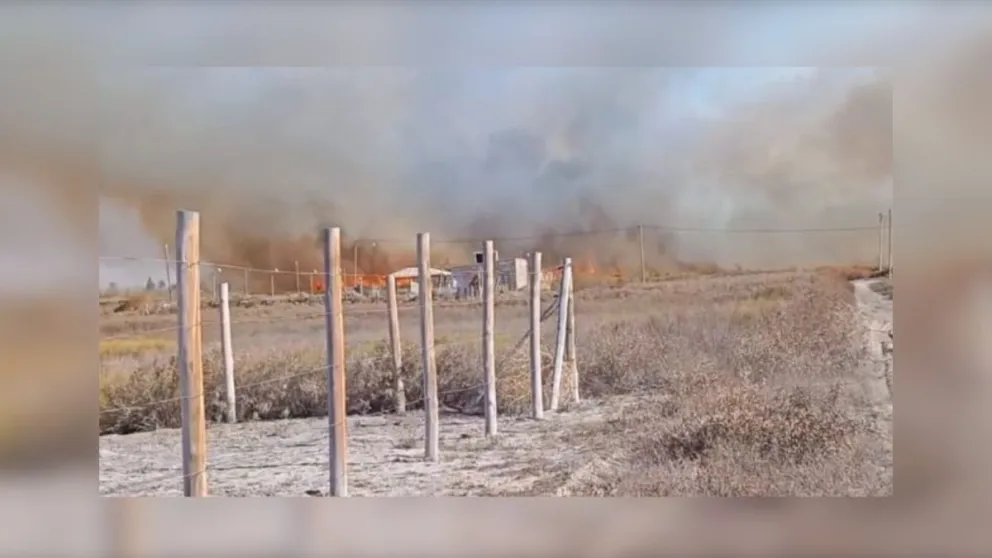 Incendio en el Médano de Oro (Gentileza: Los Cazadores de Noticias)