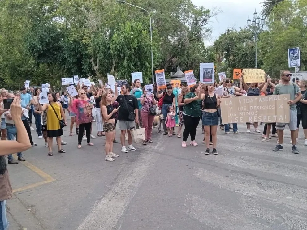 Otra marcha contra el maltrato animal, también en la Plaza 25 de Mayo, en enero del año pasado.